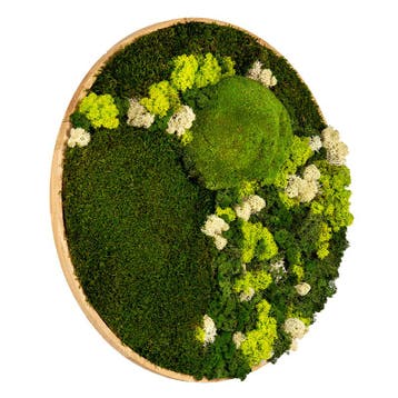 Mosschilderij Rond 100 cm Ongelakt Eiken - Floro, Verzenden, Nieuw