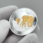 Somalië. 100 Shilling 2026 – African Wildlife Series –, Postzegels en Munten, Munten | Europa | Niet-Euromunten