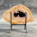 Magnifique tranche de bois pétrifié sur un socle