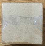 Scorpions-fouets, cigales, lucanes cerf-volants (etc), Antiquités & Art