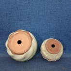 Schotel (2) - Klei - Rond bonsaisschaal-set