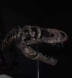 Tyrannosaurus Taxidermie volledige montage - REPLICA