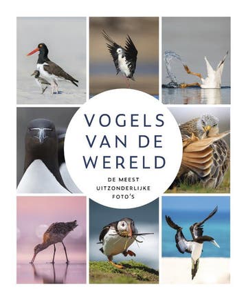 Vogels van de wereld 9789021584775 Erik Ruiterman, Verzenden, Erik Ruiterman