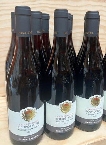 2023 Domaine Hubert Lignier Plan Gilbert - Bourgogne Vin