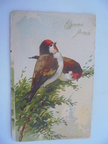 De vogels - Ansichtkaart (42) - 1900-1960, Gelopen