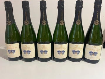 Maxime Blin, Carte Blanche - Champagne Blanc de Noirs, Extra
