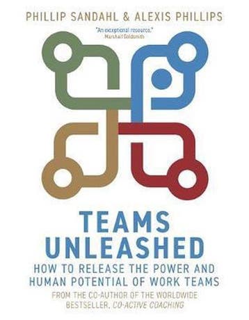 Teams Unleashed How to Release the Power and Human Potential, Verzenden, Alexis Phillips