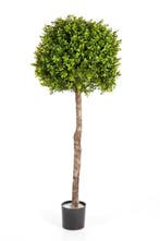 Kunstplant Boxwood Ball Plastic 170 cm, Huis en Inrichting, Verzenden