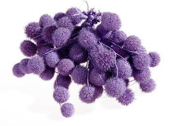Plataanballetjes Plane Ball Milka Paars zak, Nieuw