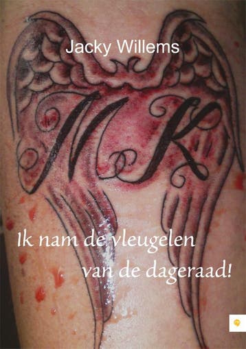 Ik nam de vleugelen van de dageraad! 9789048421664, Boeken, Verzenden, Zo goed als nieuw, Jacky Willems