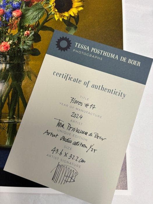 Tessa Posthuma de Boer - Flores #17, Antiek en Kunst, Kunst | Designobjecten