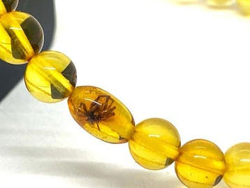 Baltisch amber armband met zeldzaam insect - ronde kralen