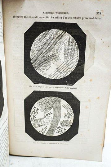 Jean-Baptiste Alphonse Chevallier & M. Er. Baudrimont -