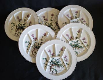 Villeroy & Boch - Assiette (6) - Botanica - Vitro-porcelaine, Antiquités & Art