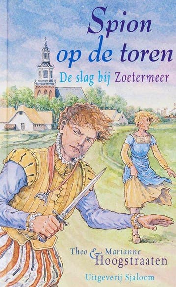 Spion Op De Toren - Hoogstraaten, Verzenden