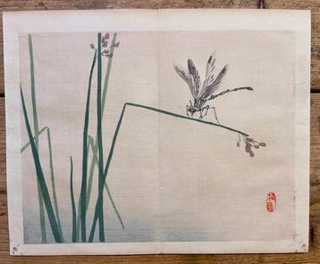Dragon fly - Kno Bairei (1844-1895) - Japan - Meiji periode