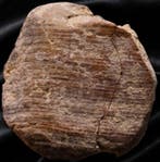 Oud-Romeins Aardewerk Tessera (Zonder minimumprijs)