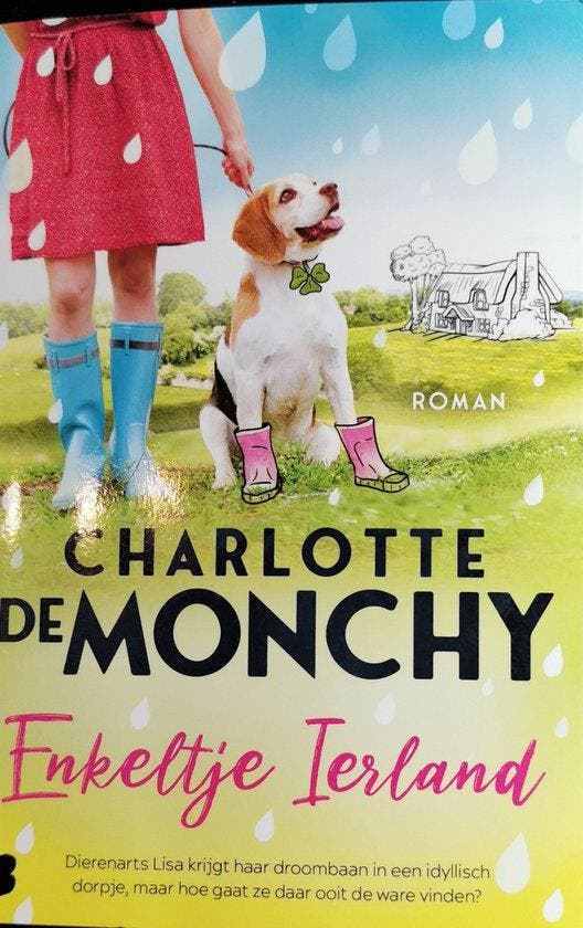 Enkeltje Ierland 9789049203238 Charlotte de Monchy, Boeken, Romans, Zo goed als nieuw, Verzenden