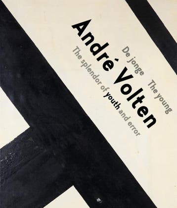De jonge André Volten 9789462623682, Boeken, Verzenden, Zo goed als nieuw