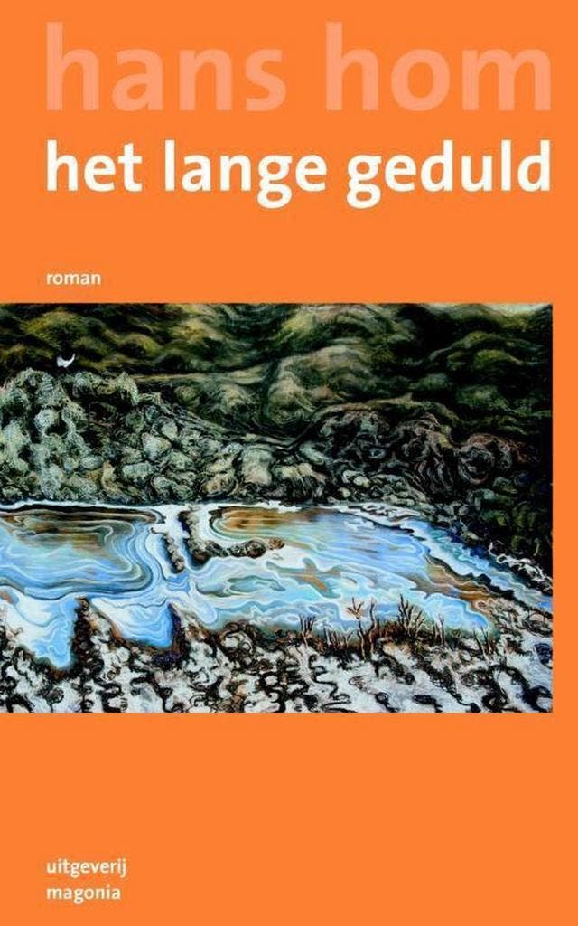 Het lange geduld 9789492241016 Hans Hom, Livres, Romans, Envoi