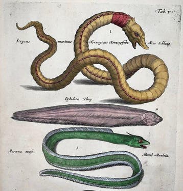 Matthäus Merian (1593-1650) - hand coloured folio: Sea
