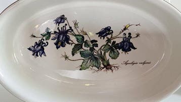Villeroy & Boch - Ovenschaal (2) - Botanica - Porselein - Zo