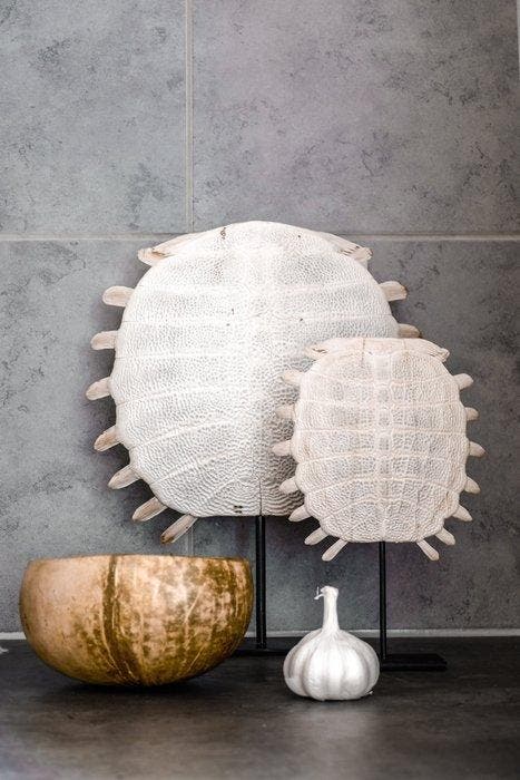 Geen reserveprijs - Prachtige Chinese zachte, Antiquités & Art, Art | Objets design