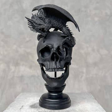 Beeld, NO RESERVE PRICE - Human Skull Dragon on custom stand
