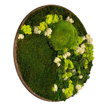 Mosschilderij Rond 60 cm Donker Eiken - Floro, Verzenden, Nieuw