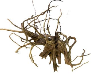 Driftwood Selected  DW43 - 50x30x28cm (Small drift wood), Ophalen of Verzenden, Nieuw, Plant(en), Steen of Hout