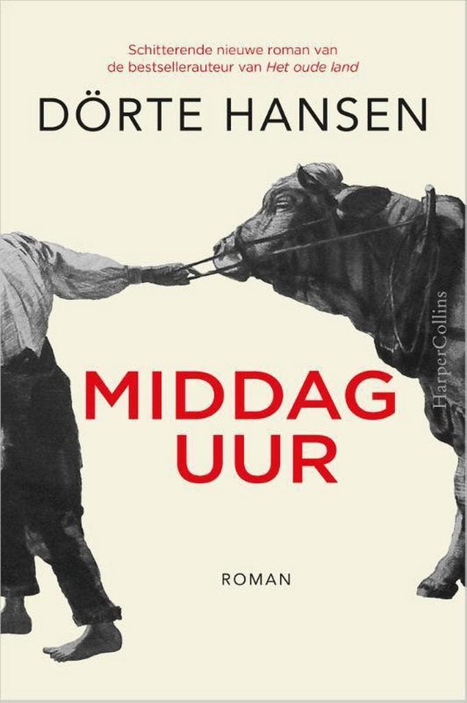 Middaguur 9789402702613 Dörte Hansen, Boeken, Romans, Zo goed als nieuw, Verzenden