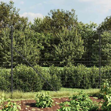 vidaXL Draadgaashek met flens 1,6x25 m antracietkleurig, Verzenden, Nieuw