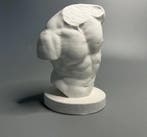 Beeld, Figurines demi-corps de musculation, Statue en, Antiek en Kunst