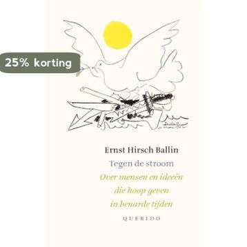 Tegen de stroom 9789021402215 Ernst Hirsch Ballin, Verzenden, Zo goed als nieuw, Ernst Hirsch Ballin