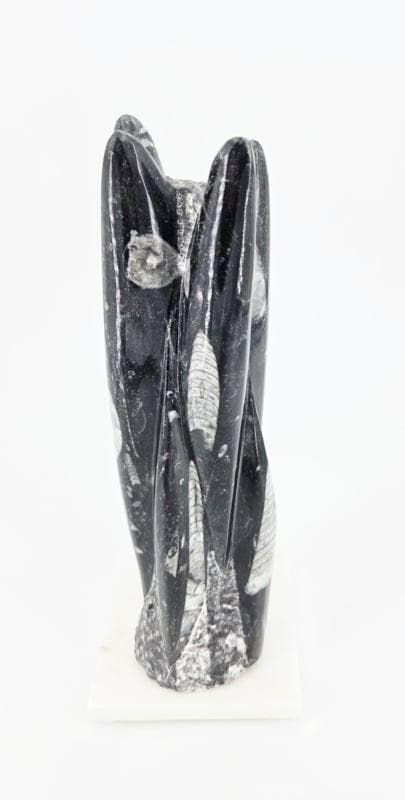 Orthoceras Sculptuur 1,6kg (zie filmpje), Bijoux, Sacs & Beauté, Pierres précieuses, Enlèvement ou Envoi