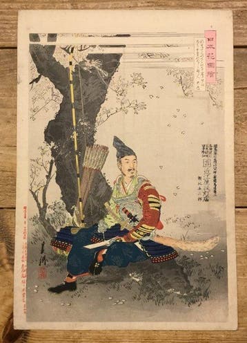 Een samoerai-strijder onder de kersenbloesem - Ogata Gekko