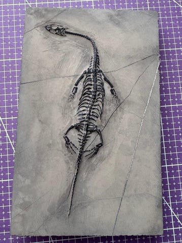 Fossiel reptiel: Keichousaurus – zeldzaam getuigenis uit het