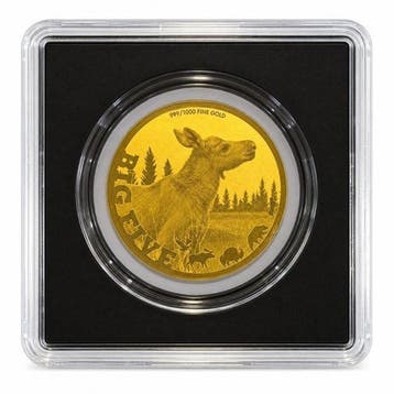 Tsjaad. 5000 Francs 1/200 oz 999 Fine Gold 5000 CFA Francs