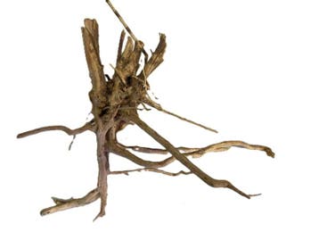 Driftwood Selected DW39 30x30x10cm (Small drift wood), Ophalen of Verzenden, Nieuw, Plant(en), Steen of Hout