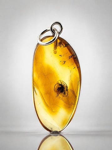 Pendentif exceptionnel en ambre baltique – Fossiles