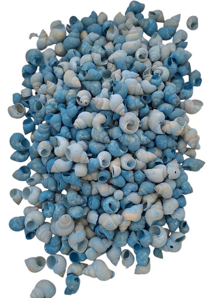 Umachi Schelpen Blauw 500 gram, Hobby & Loisirs créatifs, Bricolage