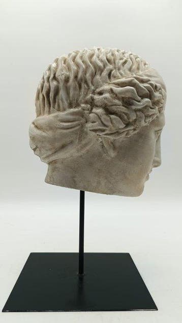 sculptuur, Testa di Venere - 34 cm - marmerpoeder