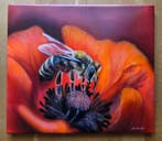 Svitlana Brazhnykova (XX-XXI) - A bee on an orange flower