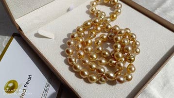 Collier - 18 carats Or jaune