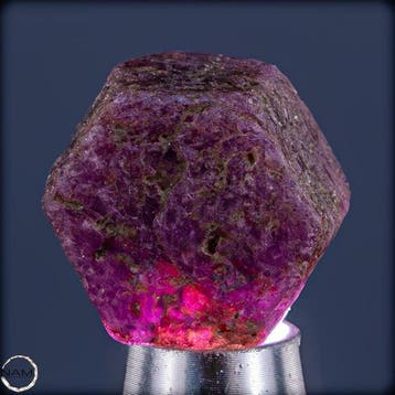 Natuurlijke padparadscha-kleurige saffier – uitzonderlijk