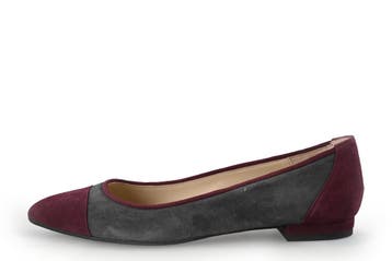 Paco Gil Ballerinas in maat 37½ Grijs, Paco Gil, Verzenden, Ballerina's, Zo goed als nieuw