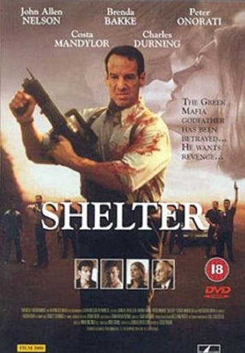 Shelter [1998] [DVD], Verzenden, Actie