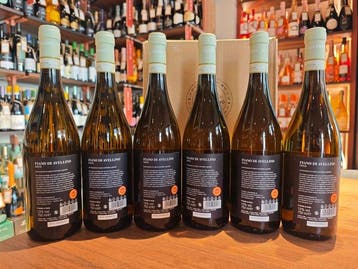 2022 Villa Raiano, Fiano di Avellino - Campania DOCG - 6, Nieuw