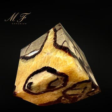 CUBE IN SEPTARIA – GROTE MAAT, ZELDZAM & LUXUEUS Kubus -