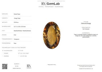 1 pcs Orange, Jaune Topaze - 339.94 ct - International, Nieuw